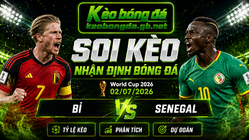 Đội hình dự kiến trước trận Bỉ và Senegal Đội hình dự kiến trước trận Bỉ và Senegal