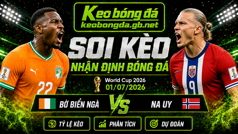 Đội hình dự kiến trước trận Bờ Biển Ngà và Na Uy Đội hình dự kiến trước trận Bờ Biển Ngà và Na Uy