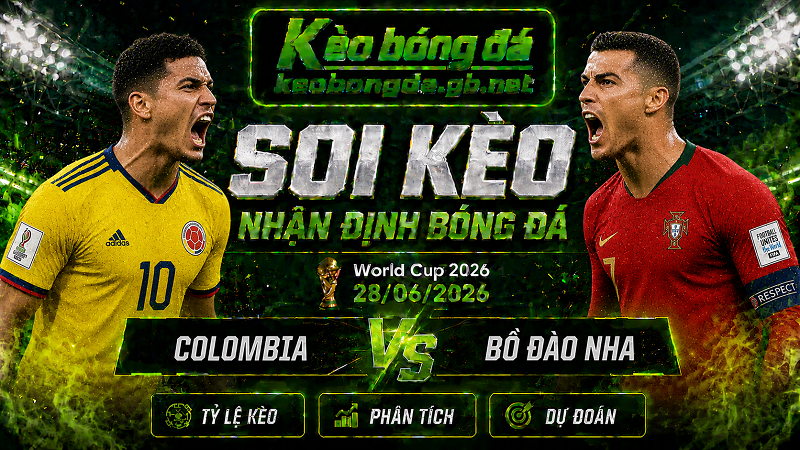 Đội hình dự kiến trước trận Colombia và Bồ Đào Nha Đội hình dự kiến trước trận Colombia và Bồ Đào Nha