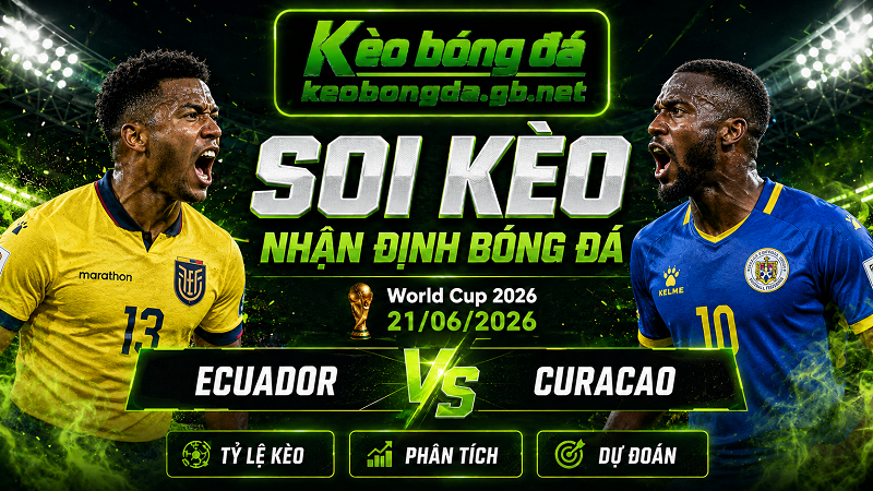 Đội hình dự kiến trước trận Ecuador và Curacao Đội hình dự kiến trước trận Ecuador và Curacao