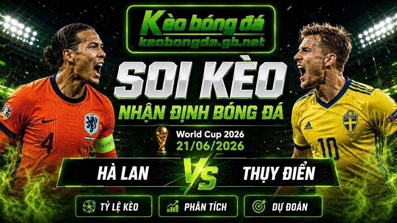 Đội hình dự kiến trước trận Hà Lan và Thụy Điển Đội hình dự kiến trước trận Hà Lan và Thụy Điển