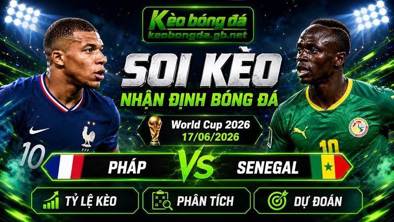 Đội hình dự kiến trước trận Pháp và Senegal Đội hình dự kiến trước trận Pháp và Senegal