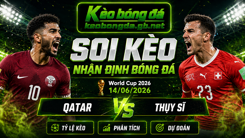 Đội hình dự kiến trước trận Qatar và Thụy Sĩ Đội hình dự kiến trước trận Qatar và Thụy Sĩ