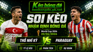 Đội hình dự kiến trước trận Thổ Nhĩ Kỳ và Paraguay