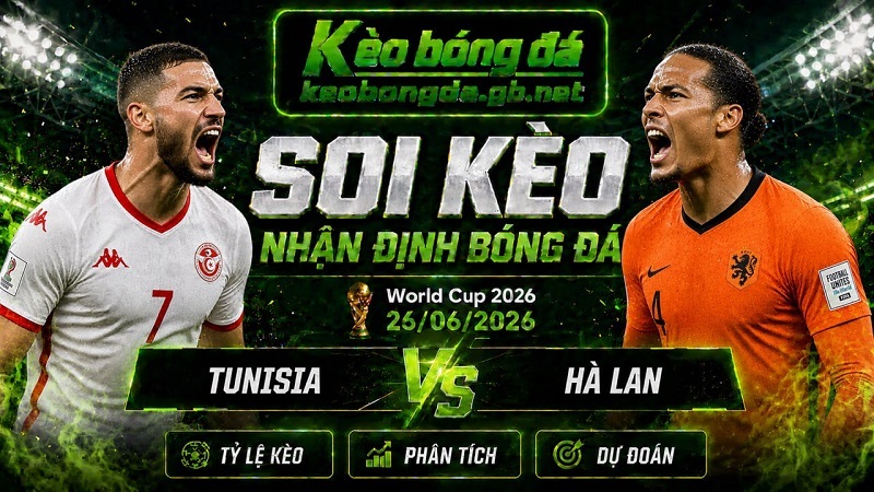 Đội hình dự kiến trước trận Tunisia và Hà Lan Đội hình dự kiến trước trận Tunisia và Hà Lan