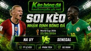 Đội hình dự kiến trước trận Na Uy và Senegal