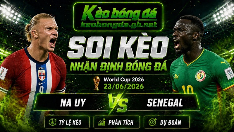 Đội hình dự kiến trước trận Na Uy và Senegal Đội hình dự kiến trước trận Na Uy và Senegal