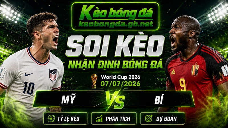 Đội hình dự kiến trước trận Mỹ và Bỉ Đội hình dự kiến trước trận Mỹ và Bỉ